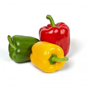 فلفل حلو ملون