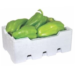 فلفل حلو أخضر